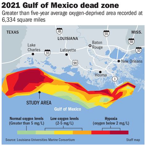 Gulf Of Mexico Dead Zone 10 Times Bigger Than Lake Pontchartrain