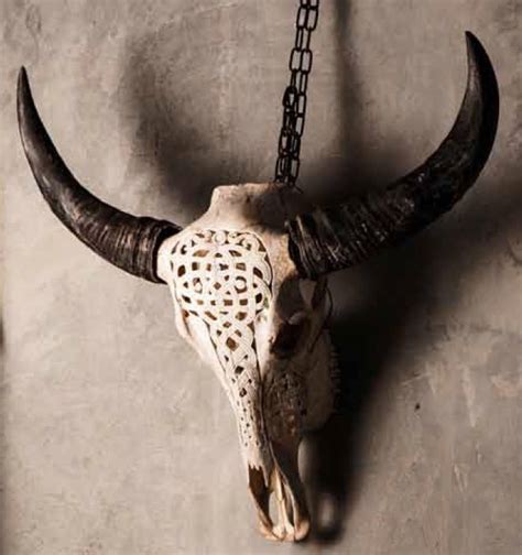 Carved Water Buffalo Skull Skull Carving Buffalo Skull Cow Skull