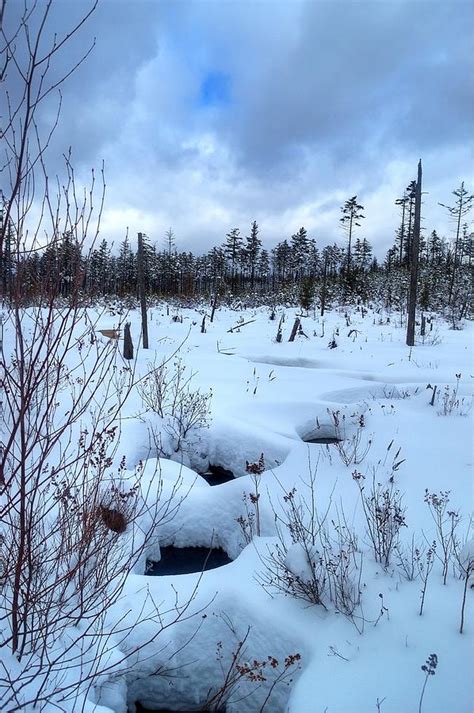 Snowy Adirondack Hike Photograph By Mark Belfield Fine Art America