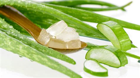 How To Prepare Fresh Raw Aloe Vera Gel