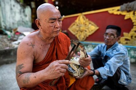 Myanmar Monk Offers Temple Sanctuary For Snakes Threatened By Black