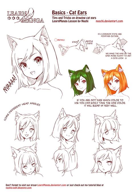 Cat Ears Drawing Reference Cats Anime Drawing