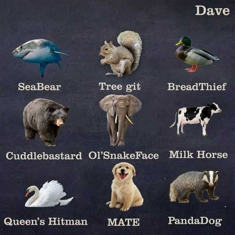 Argh Whats That Thing Called Again Funny Animal Names Funny