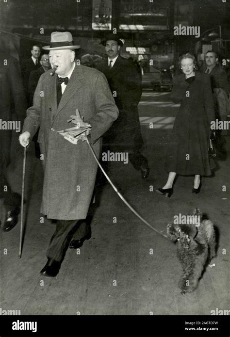 Dog Of Winston Churchill Stockfotos Und Bilder Kaufen Alamy