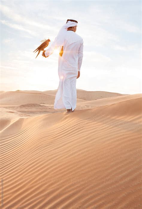 Arabian Man In Desert With Falcon Dubai United Arab Emirates