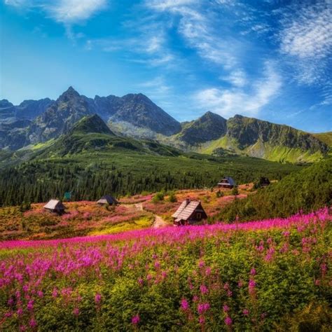 Tatra National Park Its Poland