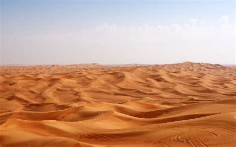 Desert Sand Background