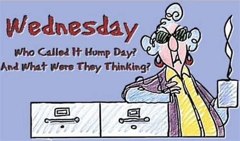 Maxine Wednesday Humor Heavyweights Quotes Funny Cards