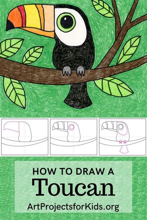 Easy How To Draw A Toucan Tutorial And Toucan Coloring Page Art