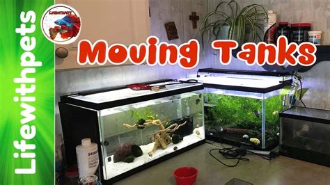 Breaking Down And Moving Aquariums Tanks Youtube