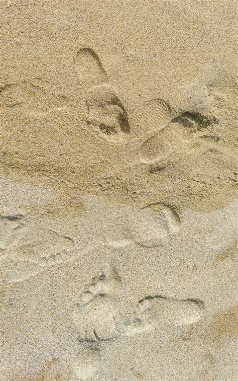 Footprint Footprints On The Beach Sand By The Water Mexico Stock Image