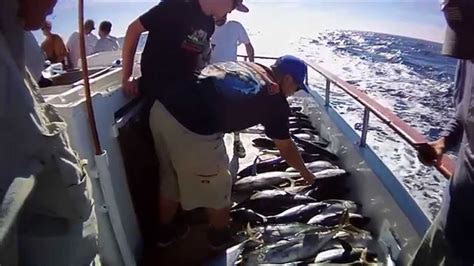 Overnight Fishing Trip August 25 2014 Tribute Seaforth Landing Youtube