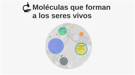 Moléculas Que Forman A Los Seres Vivos By Jose Eduardo Barragán