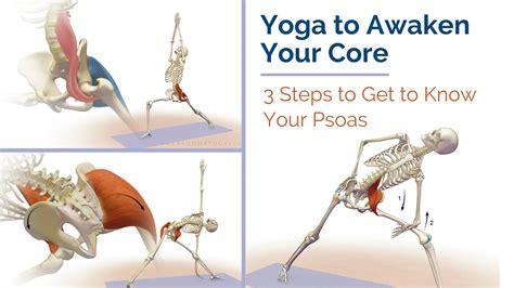 Yoga To Awaken Your Core 3 Steps To Get To Know Your Psoas Yogauonline
