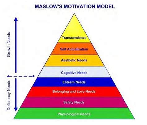 Maslows Revised Hierarchy Of Needs