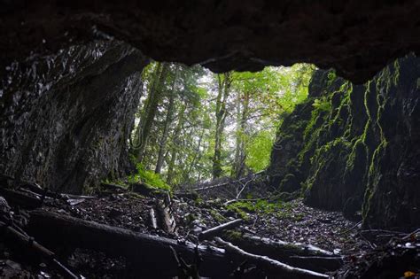 Cave Entrance In The Forest Stock Image Image Of Mysterious Cavern