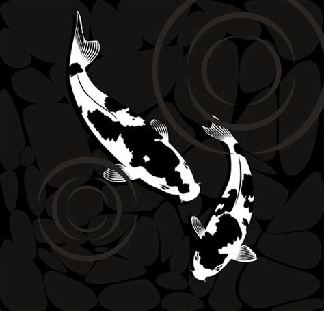 What You Should Know About Black Colored Koi Fitzs Fish Ponds
