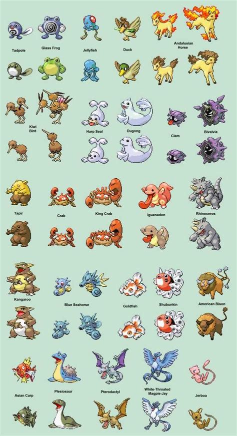 Completed Gen 1 Pokemon Realistic Redesign Pokemon Realistic Gen 1