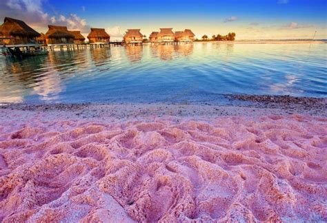 澳大利亚粉色沙滩在哪？澳大利亚粉色沙滩攻略 第六感度假