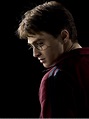 harry potter - Daniel Radcliffe Photo (5149406) - Fanpop
