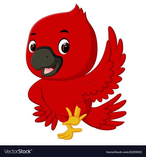Cardinal Bird Cartoon Royalty Free Vector Image