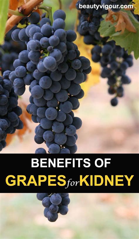 Benefits Of Grapes For Kidney Health Grapes Benefits Coconut Health