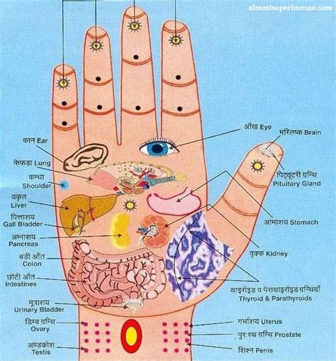 How To Give A Foot Reflexology Massage Body Map Hand Reflexology Reflexology Acupressure
