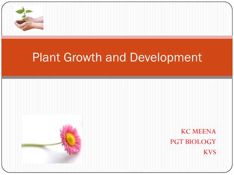 Solution Plant Growth And Development Studypool