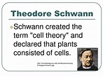 PPT - The Cell Theory PowerPoint Presentation, free download - ID:6082738