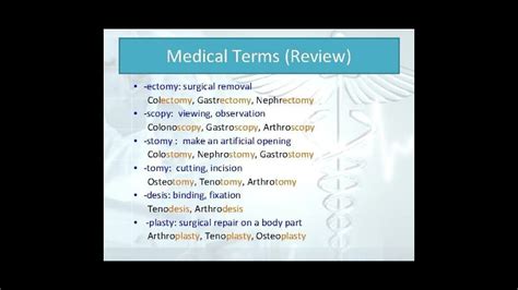 Medical Termsurgical Terminology Youtube