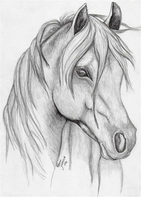 Horse Sketch Desenhos De Arte Legais Desenhos De Animais Realistas