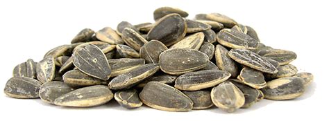 Sunflower Seeds Png Transparent Images Png All