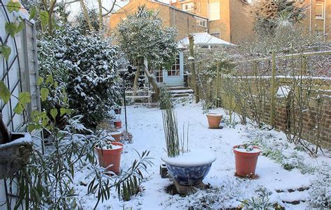 How To Winterize Your St Louis Garden Lawnstarter