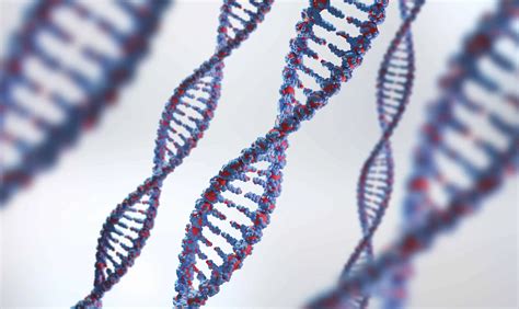 ¿qué Es Un Test Genético Directo Al Consumidor 24genetics