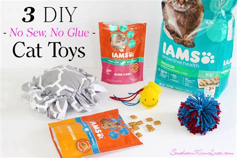 Southern Mom Loves Treat Your Kitty With 3 Puurfect Diy