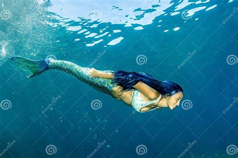 Mermaid Swimming Underwater In The Deep Blue Sea Stock Image Image Of