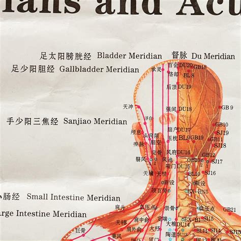 Chinese Medicine Body Acupuncture Points Meridians And Acupoints Chart