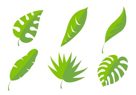 Palm Leaf Vectors Download Free Vector Art Stock Graphics And Images