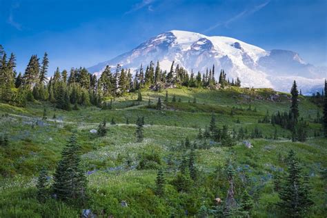 Drug And Alcohol Rehab In Vancouver Wa The Recovery Village Ridgefield