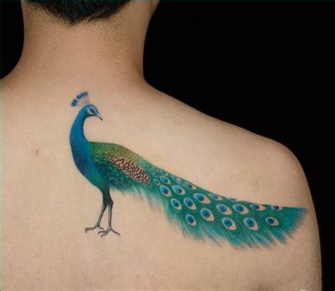 Peacock Tattoos 50 Most Beautiful And Rare Designs Ideas With Meanings