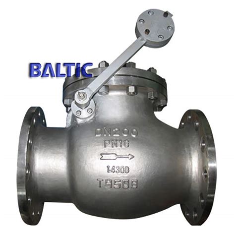 Swing Check Valve With Lever Counterweight 14308 Dn200 Pn16 Rf Baltic