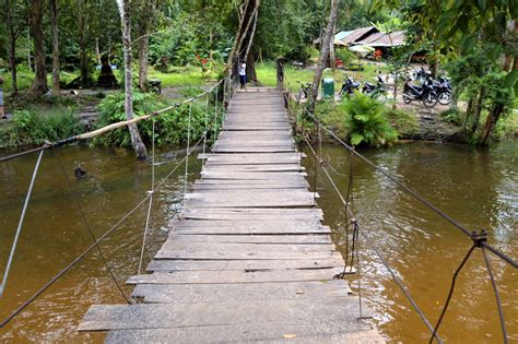 Cambodia An Improvised Bridge