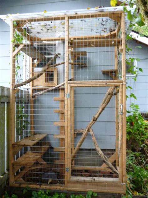A cat enclosure is the best solution! 51 Outdoor Cat Enclosures Your Cat | ComfyDwelling.com
