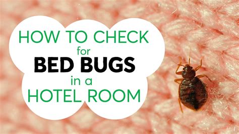 How To Check For Bed Bugs In A Hotel Room Consumer Reports Youtube