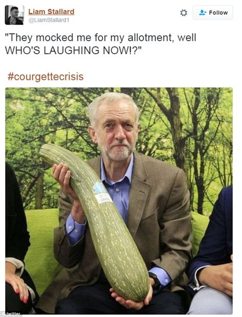Sam allardyce knows who he has to thank for this win. Twitter breaks out in memes mocking the #courgettecrisis ...