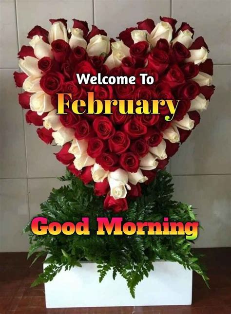 🌅 ਗੁੱਡ ਮੋਰਨਿੰਗ Welcome To February Good Morning Sharechat Good