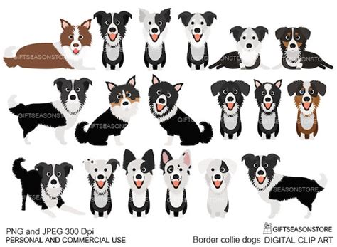 Border Collie Dogs Clip Art For Personal And Commercial Use Etsy