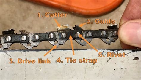 Chainsaw Chain Parts Types And Sizes Explained Burly Beaver
