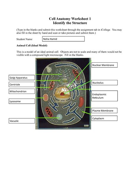 Cell Anatomy Worksheet 1 - BIOL 1103: Introduction to ...