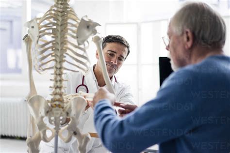 Doctor Explaining Bones At Anatomical Model To Patient In Medical